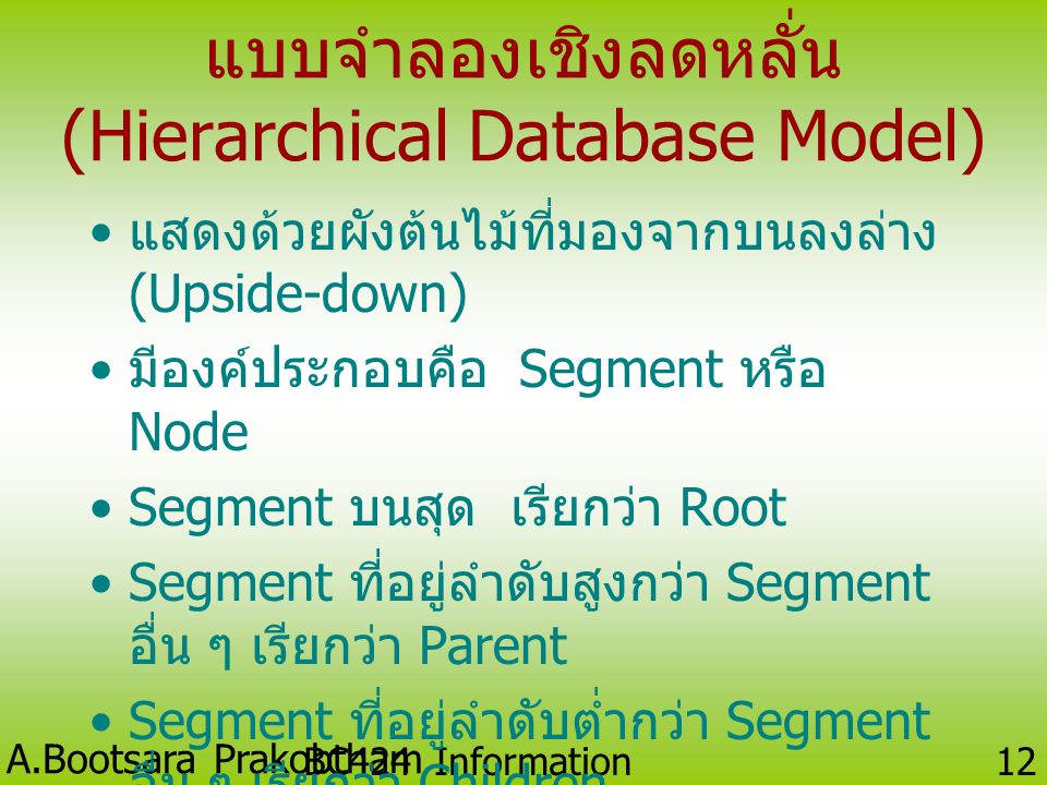 แบบจำลองเชิงลดหลั่น (Hierarchical Database Model)