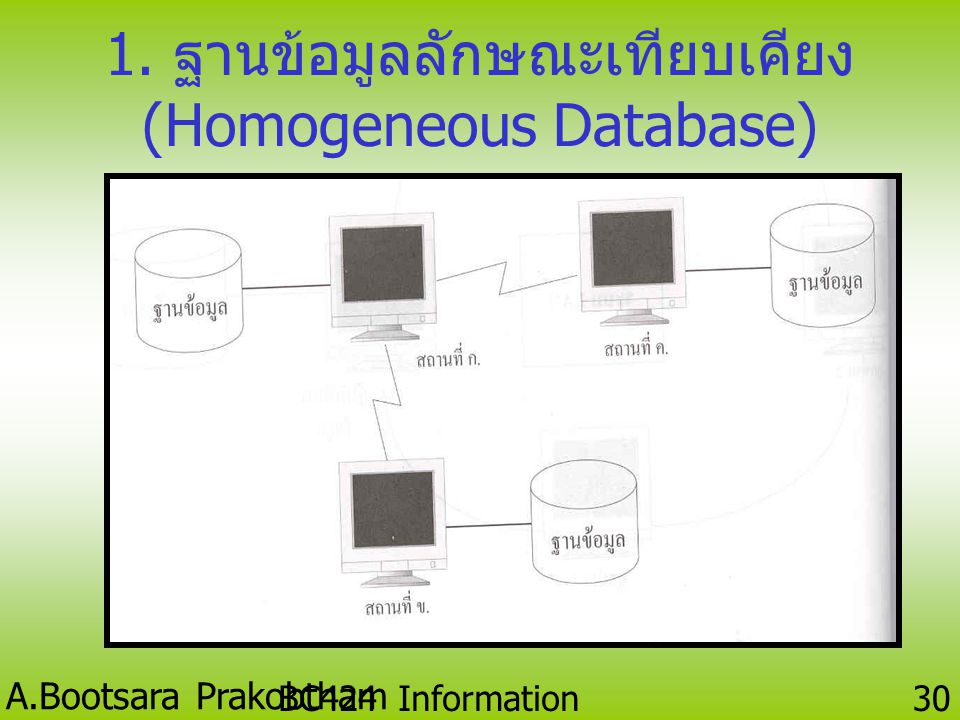 1. ฐานข้อมูลลักษณะเทียบเคียง (Homogeneous Database)