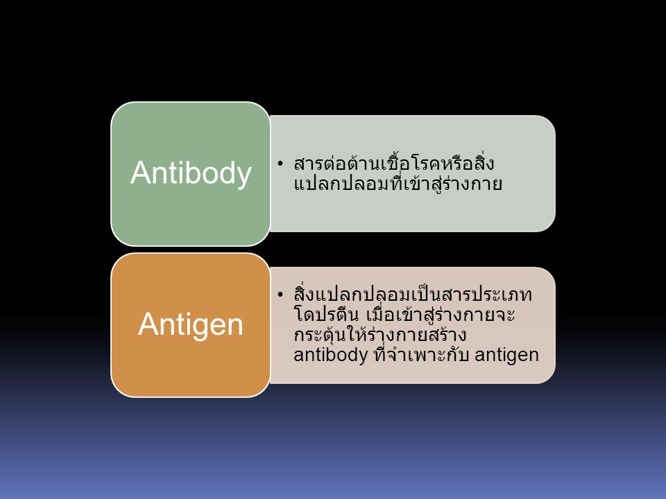 Antibody สารต่อต้านเชื้อโรคหรือสิ่งแปลกปลอมที่เข้าสู่ร่างกาย. Antigen.