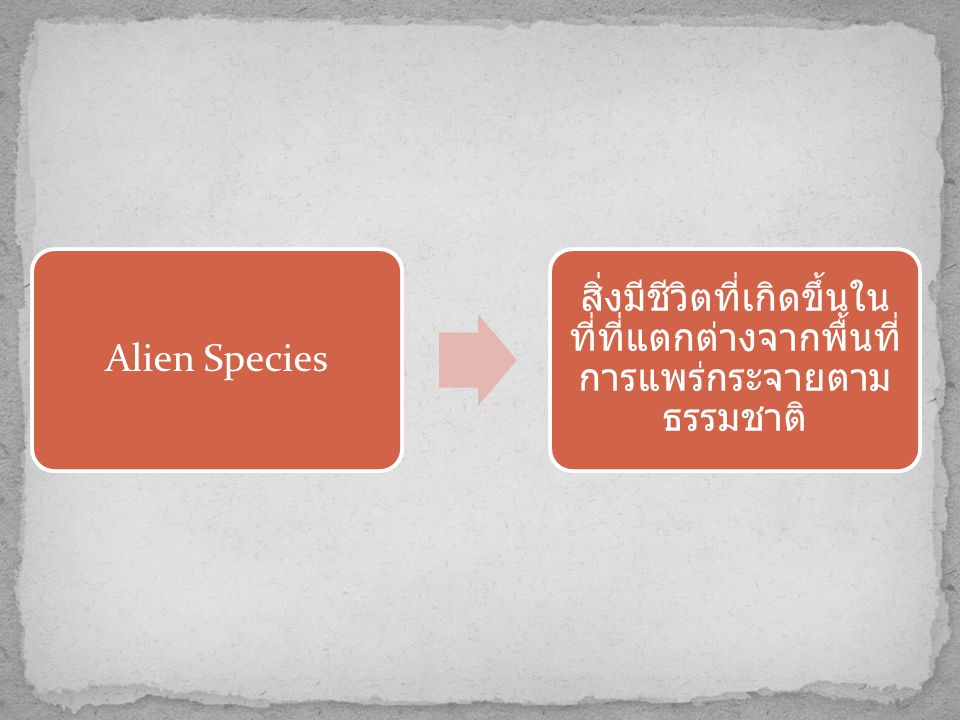 Alien Species สิ่งมีชีวิตที่เกิดขึ้นในที่ที่แตกต่างจากพื้นที่การแพร่กระจายตามธรรมชาติ