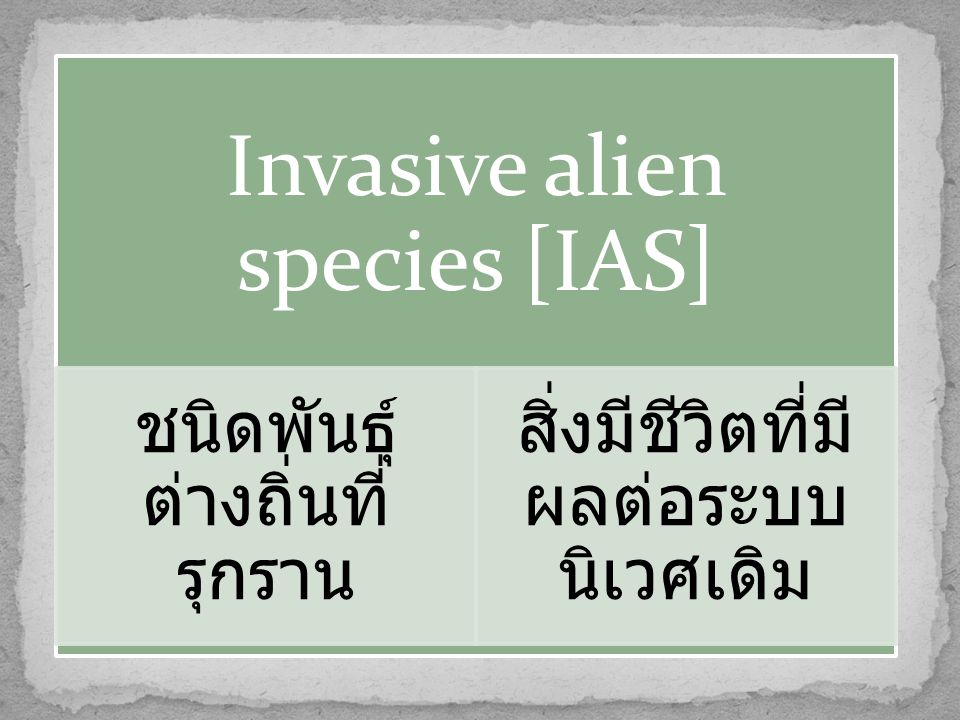 Invasive alien species [IAS]