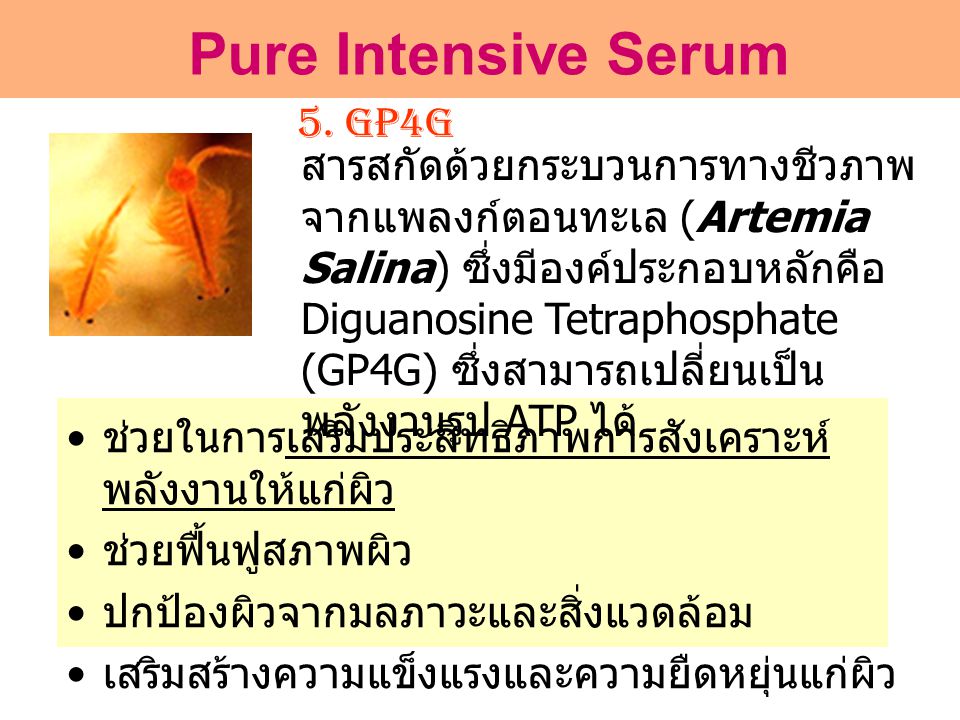 Pure Intensive Serum 5. GP4G