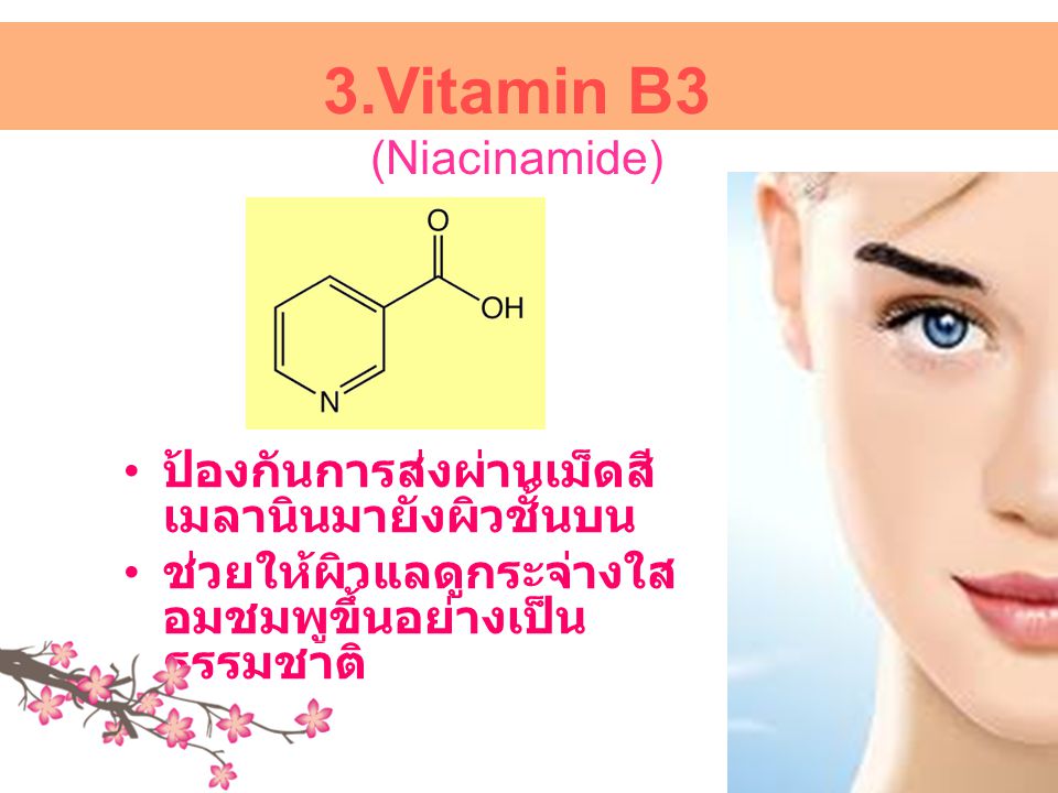 3.Vitamin B3 (Niacinamide)