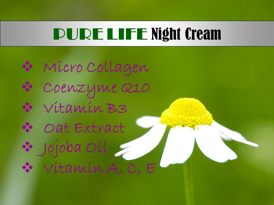 PURE LIFE Night Cream Micro Collagen Coenzyme Q10 Vitamin B3 Oat Extract Jojoba Oil Vitamin A, C, E