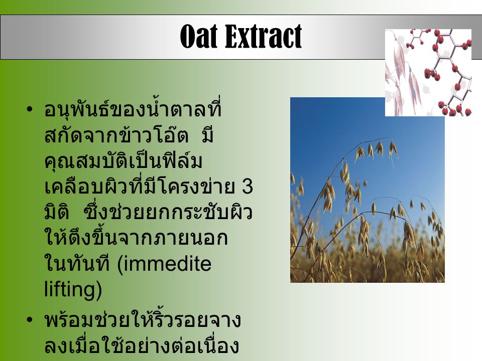 Oat Extract