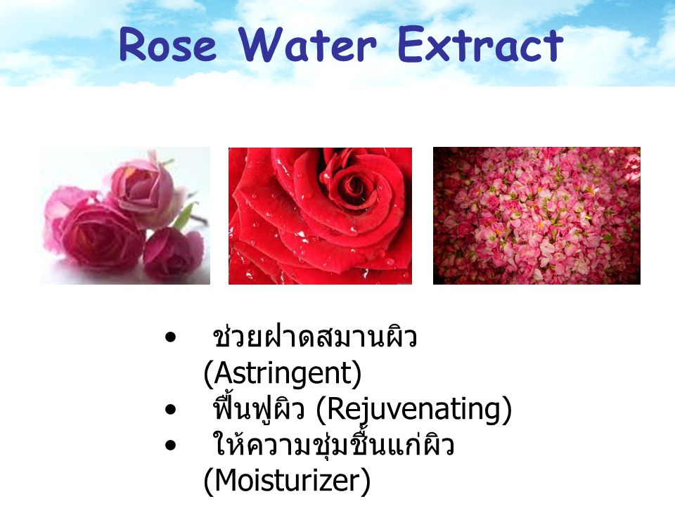 Rose Water Extract ช่วยฝาดสมานผิว (Astringent)
