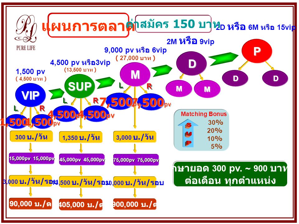 แผนการตลาด SUP ค่าสมัคร 150 บาท P D M SUP VIP 7,500pv 7,500pv 4,500pv