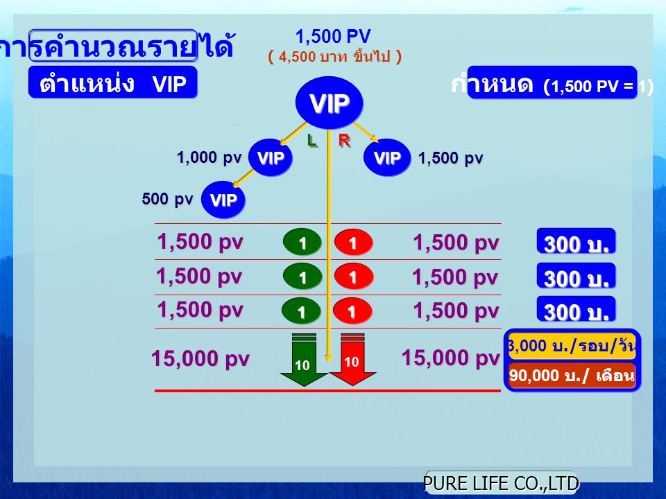 การคำนวณรายได้ ตำแหน่ง VIP กำหนด (1,500 PV = 1) VIP 1,500 pv 1,500 pv
