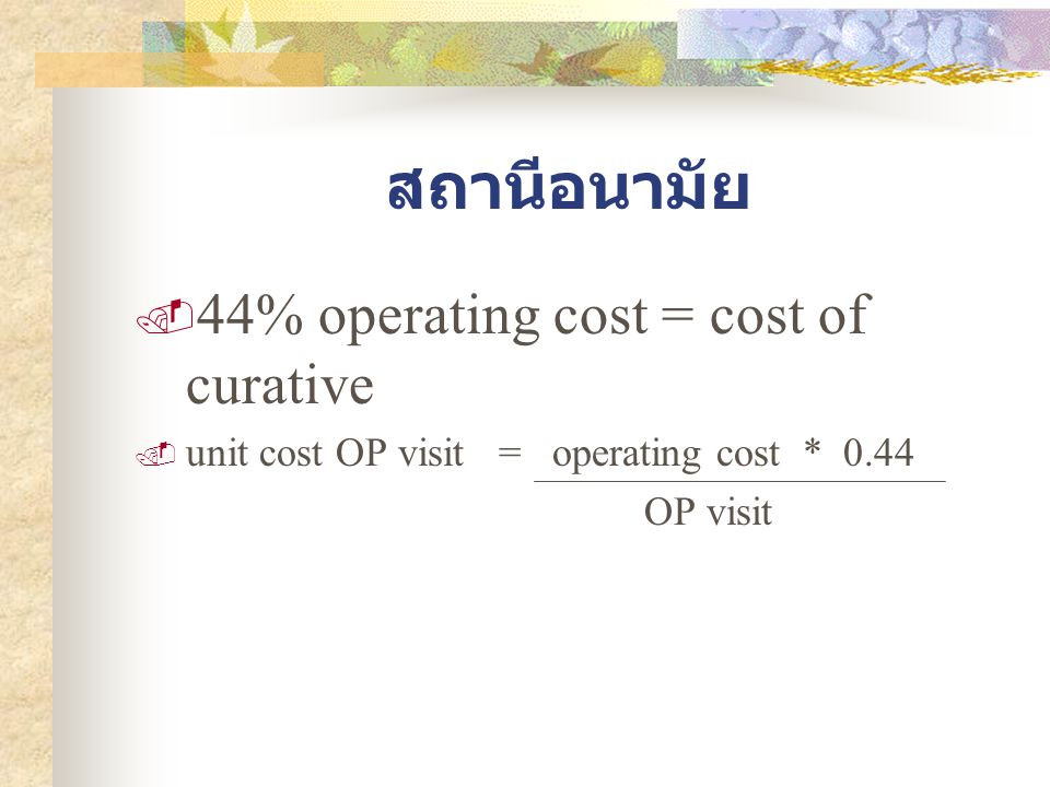สถานีอนามัย 44% operating cost = cost of curative