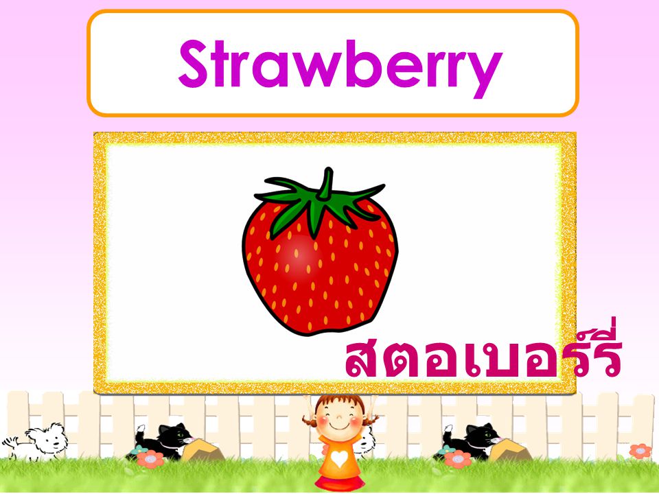 Strawberry สตอเบอร์รี่