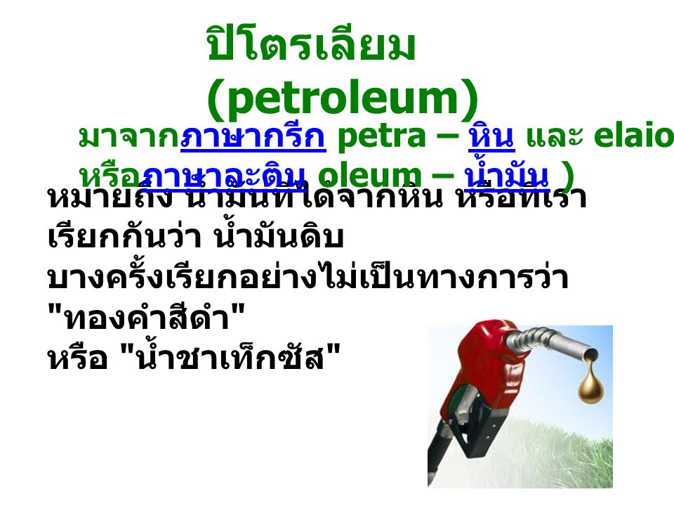 ปิโตรเลียม (petroleum)