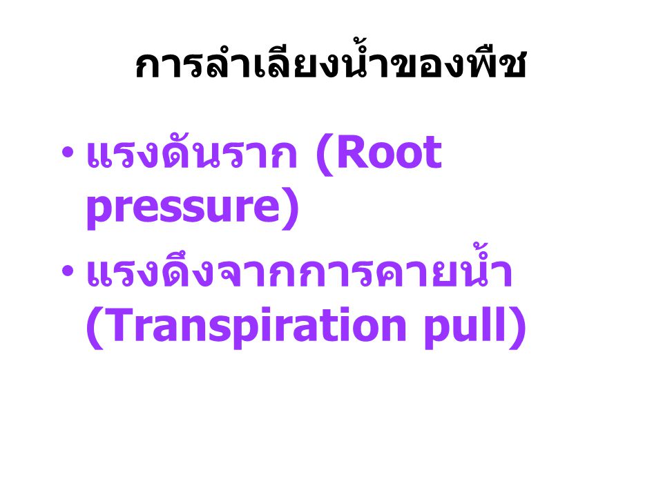 แรงดันราก (Root pressure) แรงดึงจากการคายน้ำ (Transpiration pull)