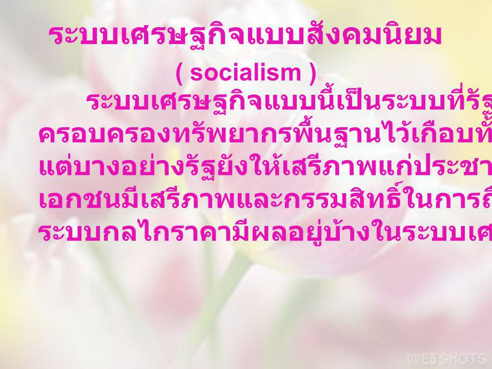 ระบบเศรษฐกิจแบบสังคมนิยม ( socialism )