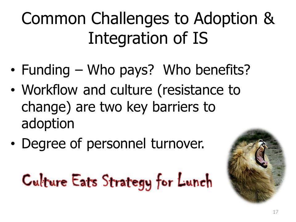 Common Challenges to Adoption & Integration of IS