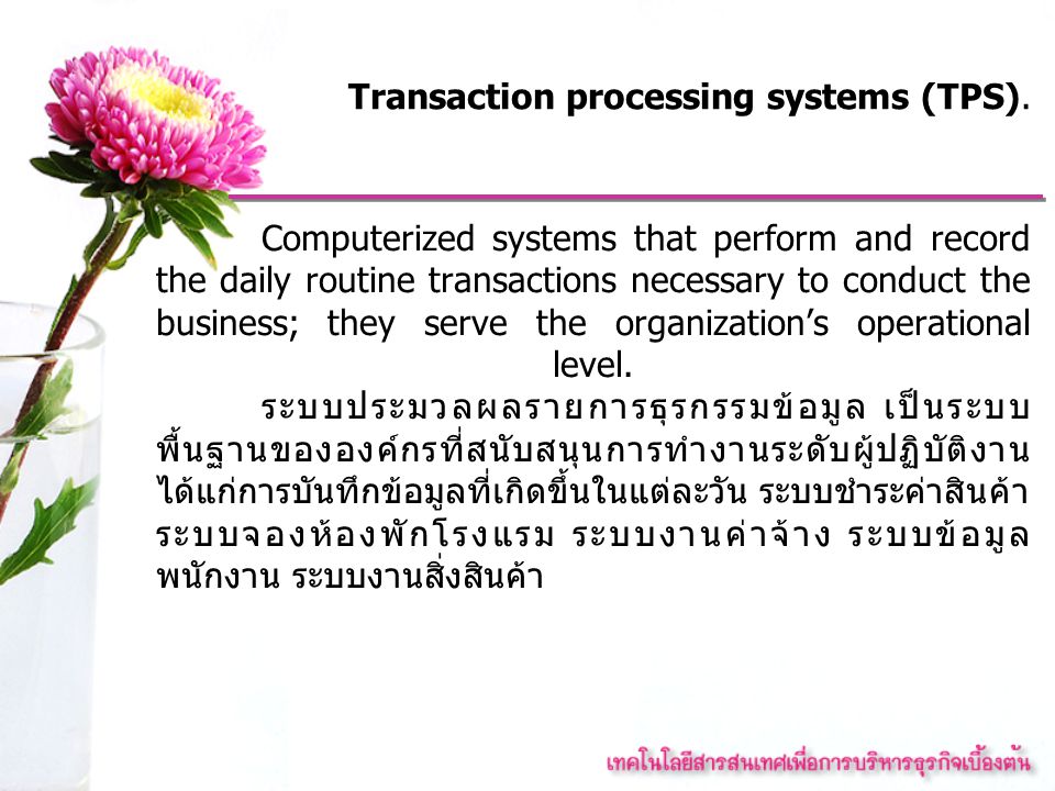 Transaction processing systems (TPS).