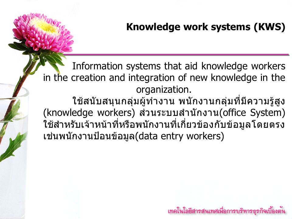 Knowledge work systems (KWS)
