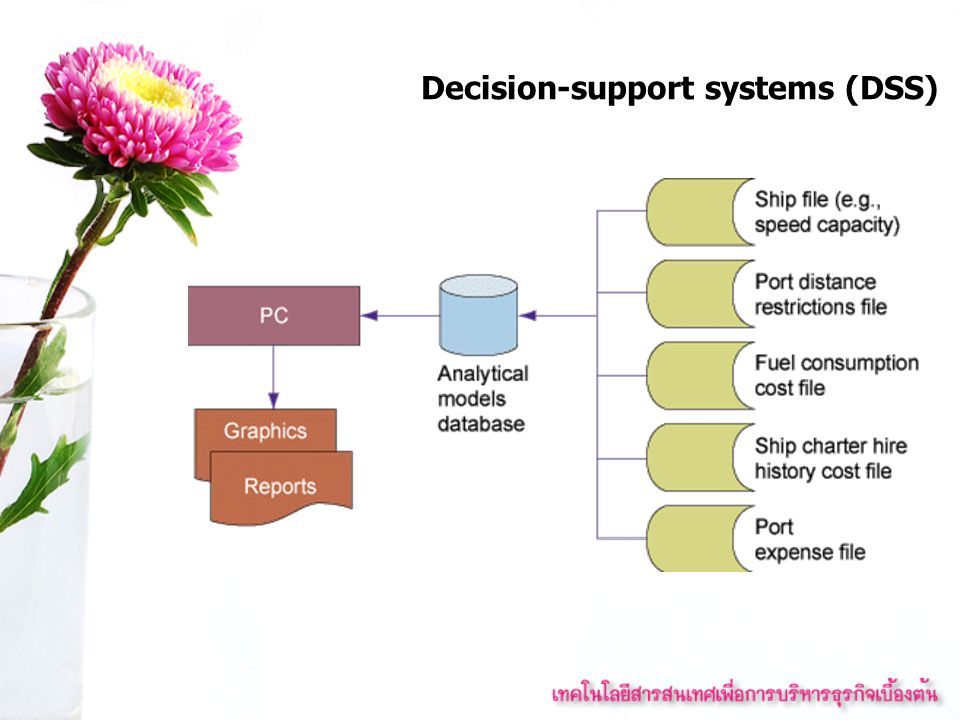 Decision-support systems (DSS)
