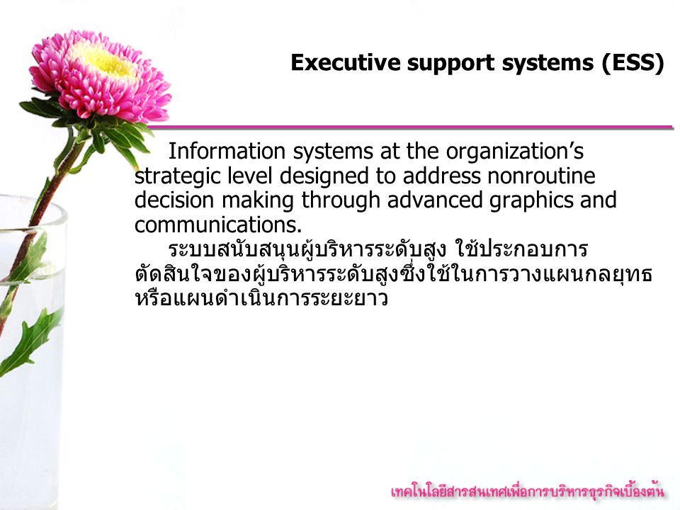 Executive support systems (ESS)