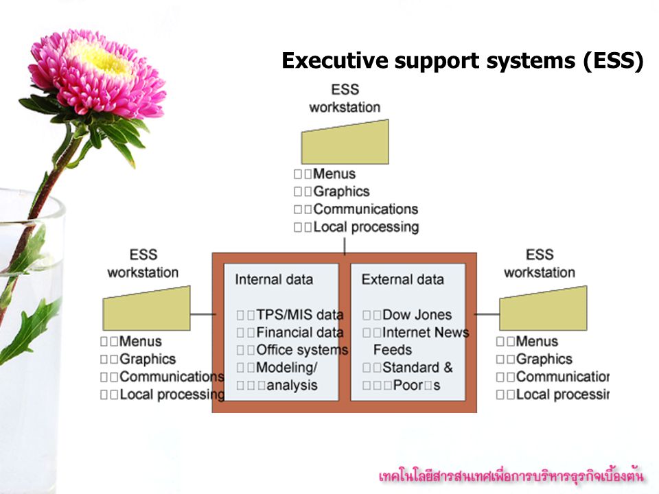 Executive support systems (ESS)