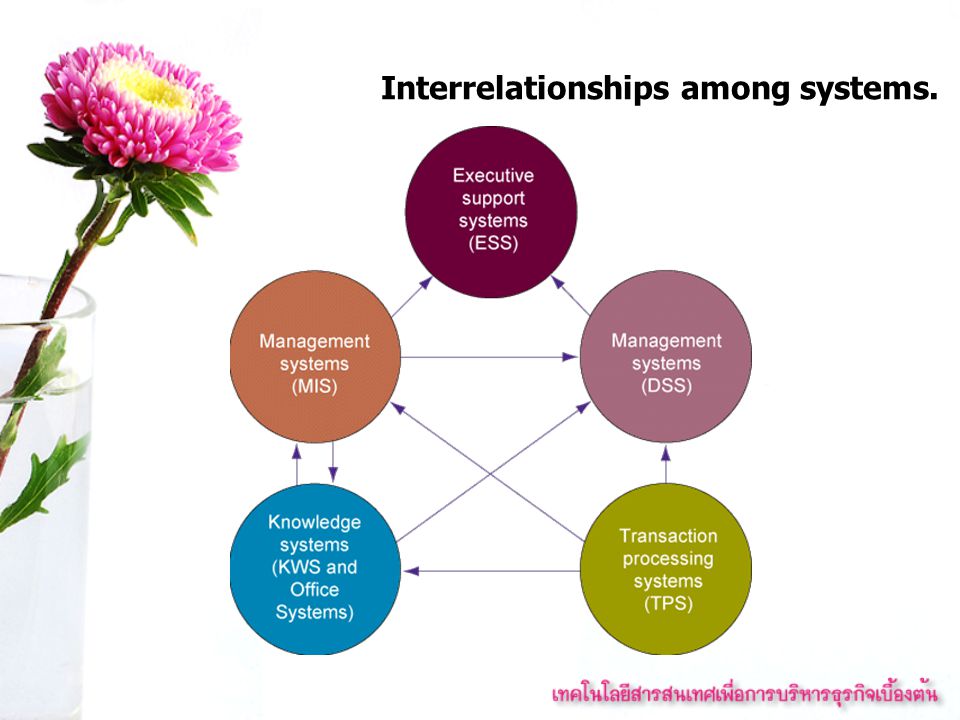 Interrelationships among systems.