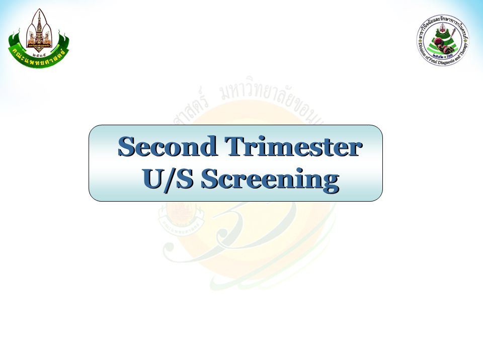Second Trimester U/S Screening