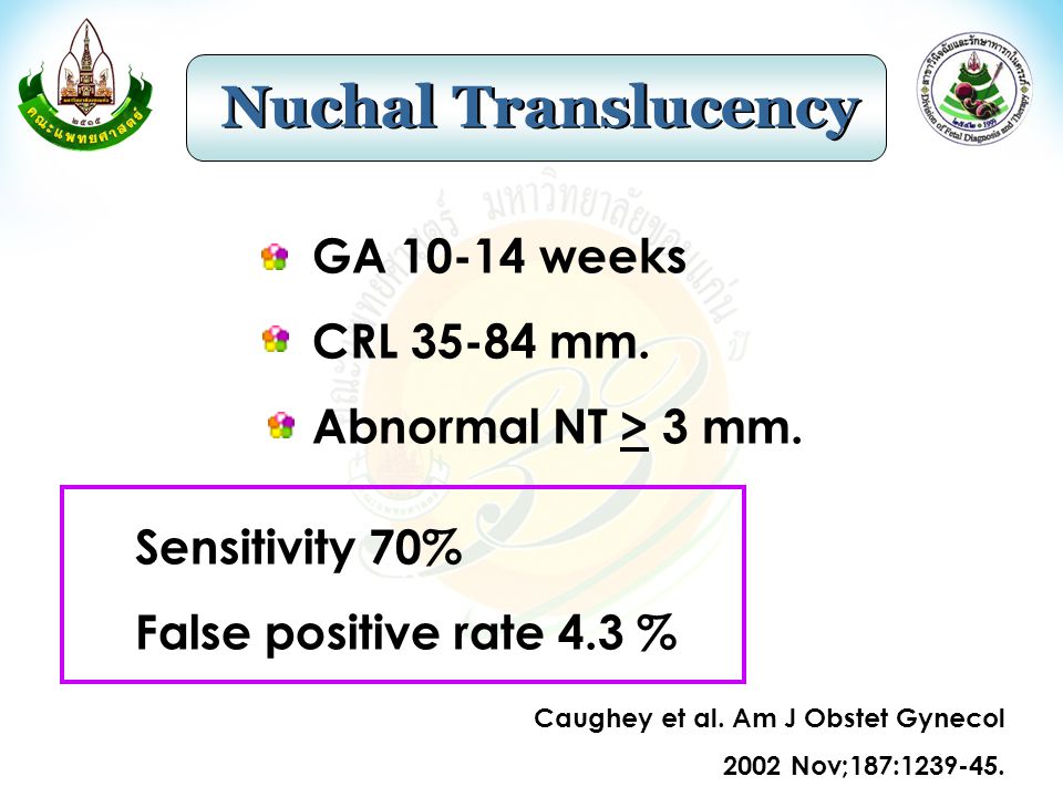 Nuchal Translucency GA weeks CRL mm.