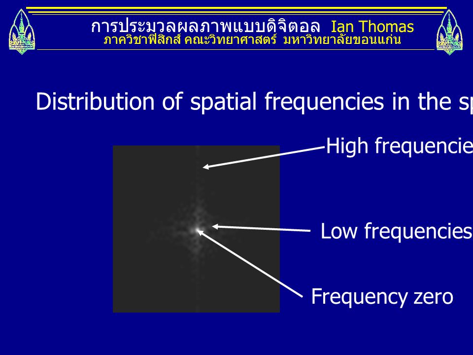 Distribution of spatial frequencies in the spatial frequency domain.