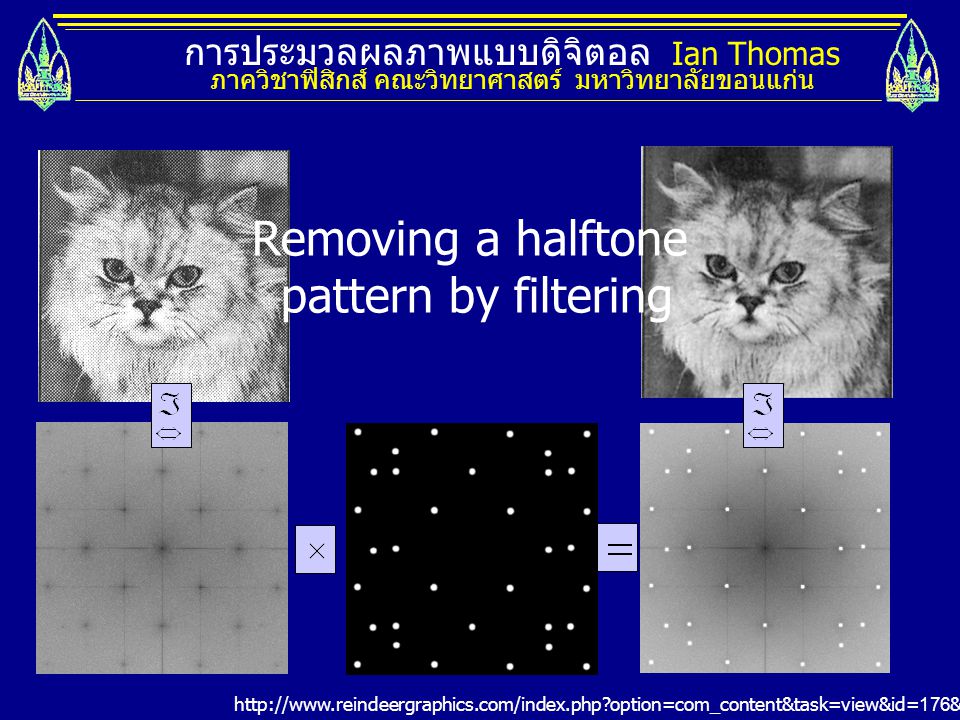 Removing a halftone pattern by filtering