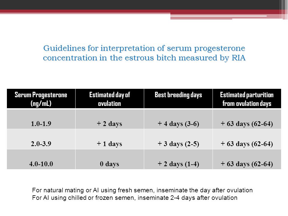 Guidelines for interpretation of serum progesterone concentration in the estrous bitch measured by RIA