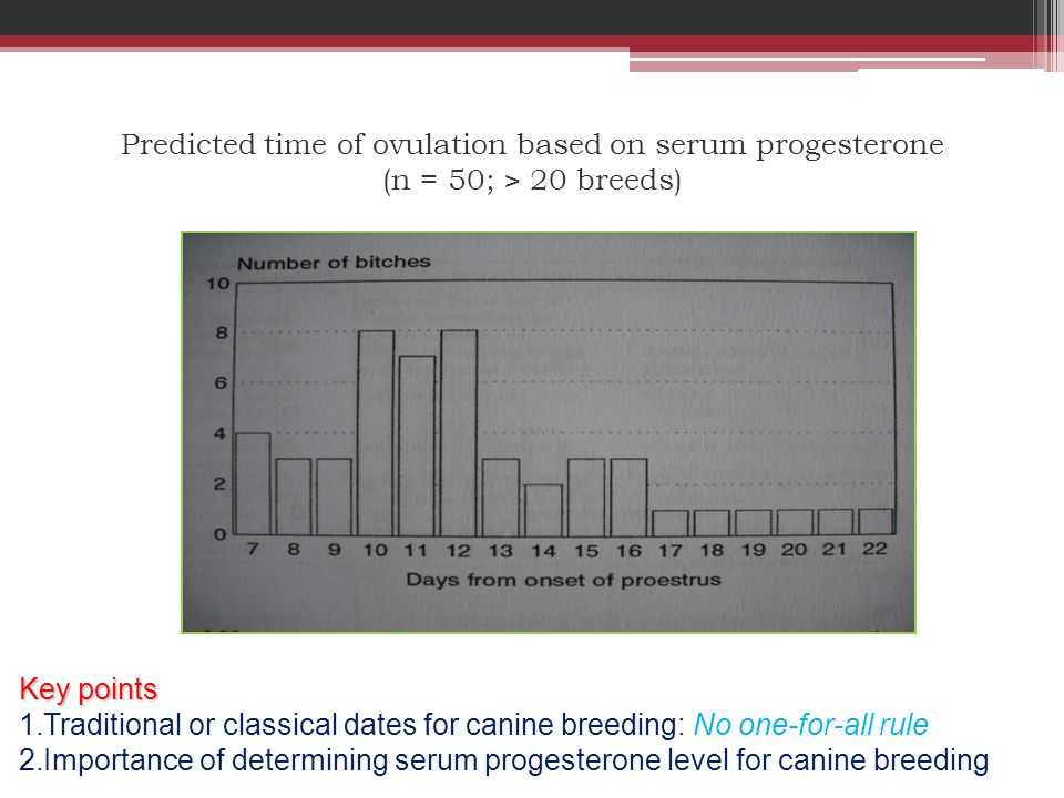 Predicted time of ovulation based on serum progesterone (n = 50; > 20 breeds)