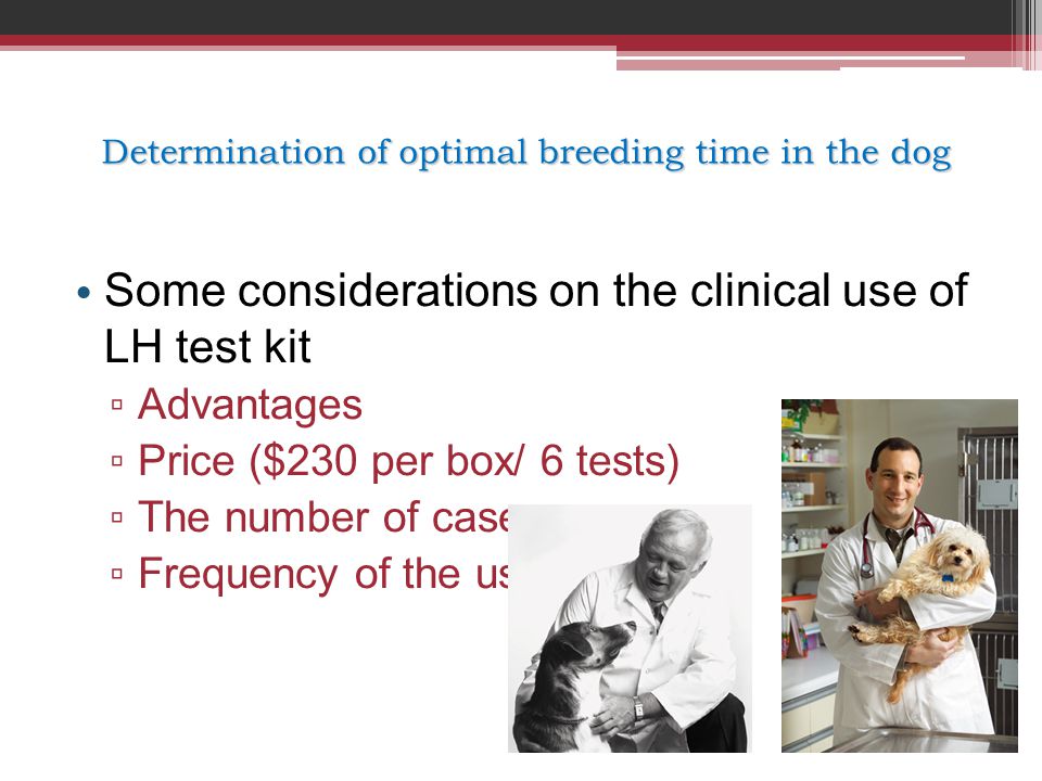 Determination of optimal breeding time in the dog