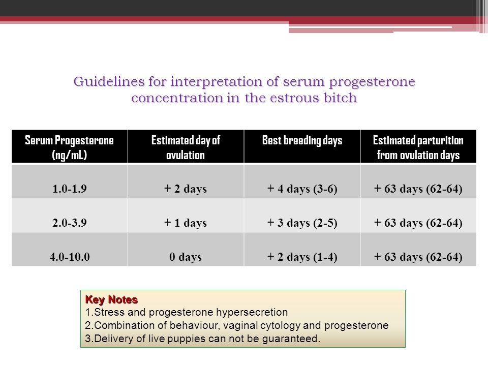 Guidelines for interpretation of serum progesterone concentration in the estrous bitch
