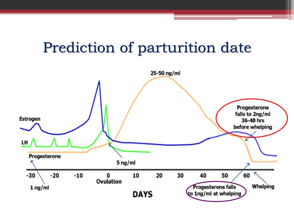 Prediction of parturition date