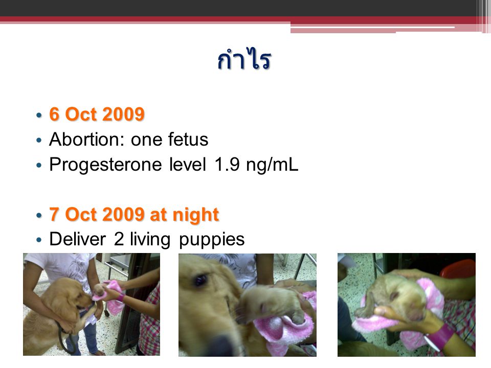 กำไร 6 Oct 2009 Abortion: one fetus Progesterone level 1.9 ng/mL