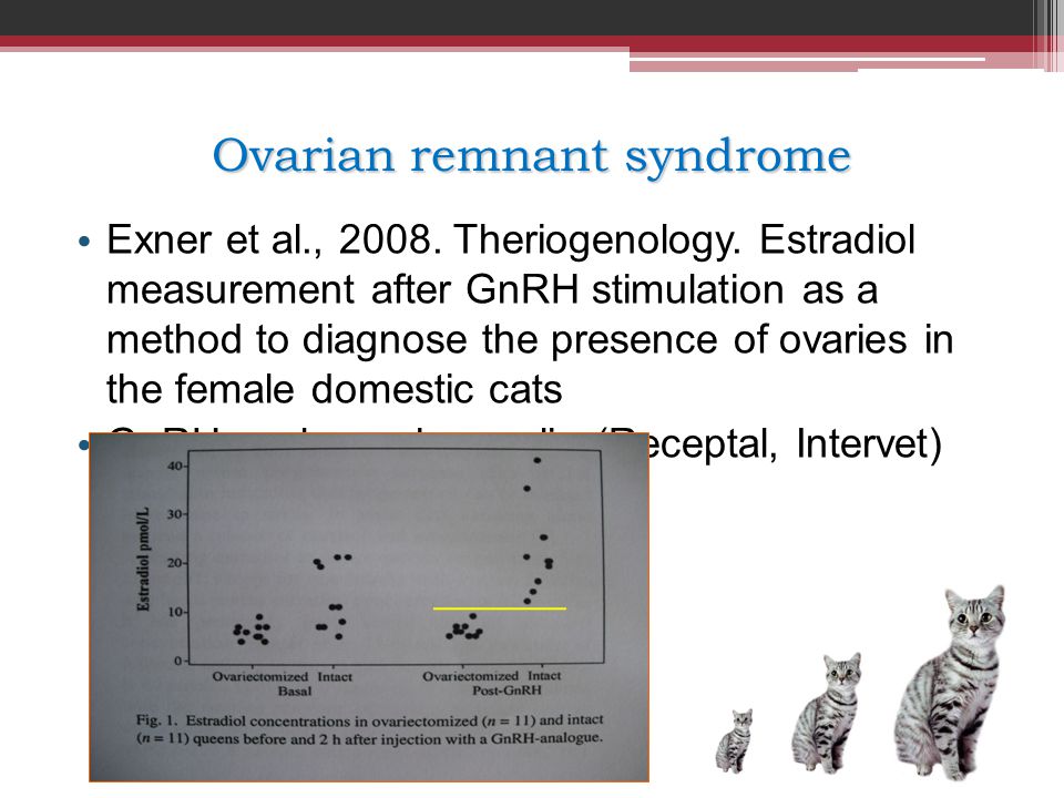 Ovarian remnant syndrome