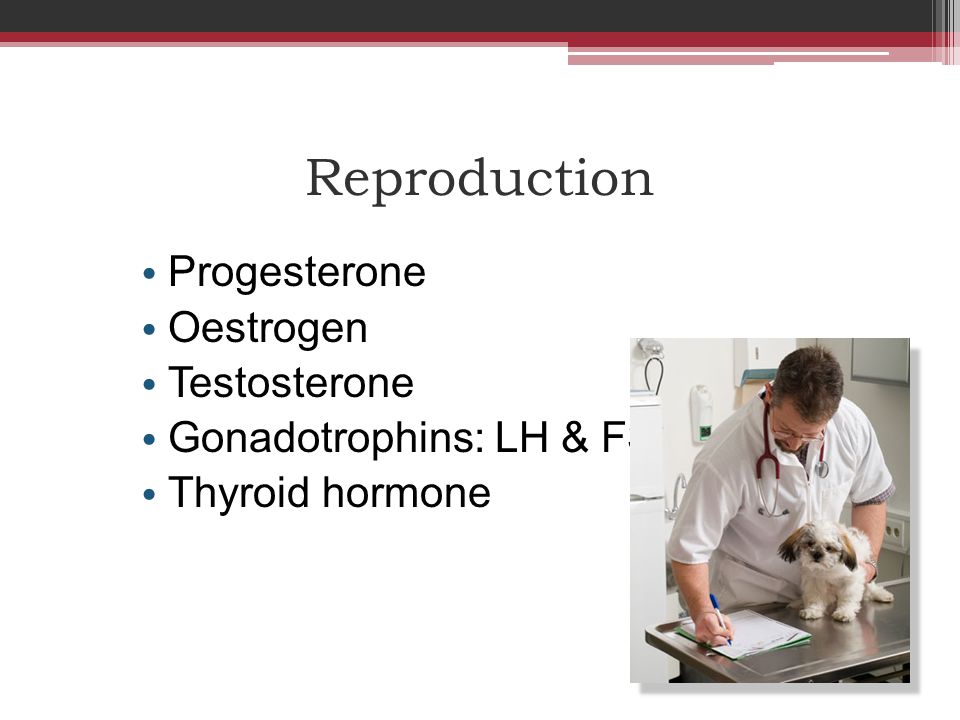 Reproduction Progesterone Oestrogen Testosterone