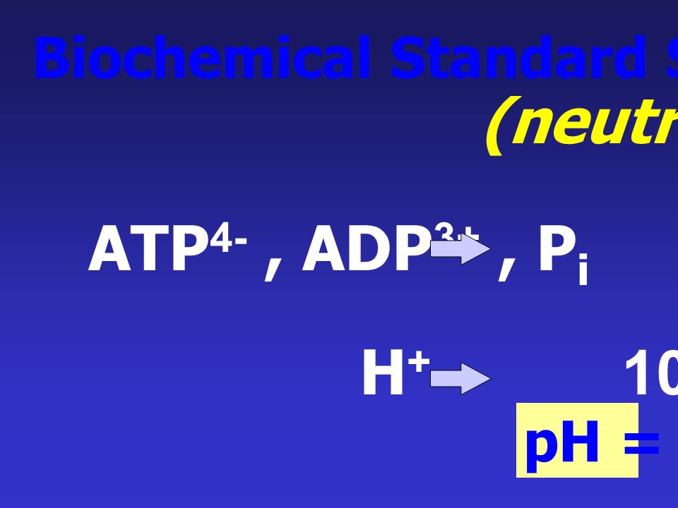 (neutrality) ATP4- , ADP3+ , Pi 1 M H M