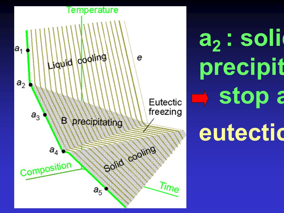 a2 : solid B precipitated stop at a4 eutectic pt.