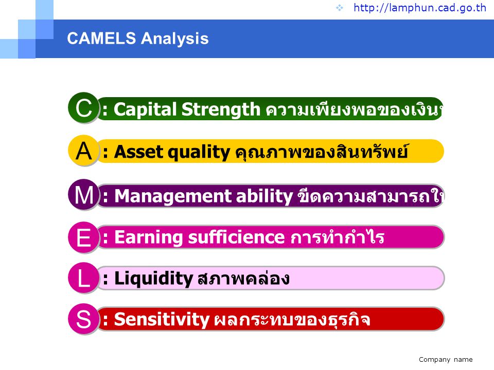 C A M E L S : Capital Strength ความเพียงพอของเงินทุนต่อความเสี่ยง