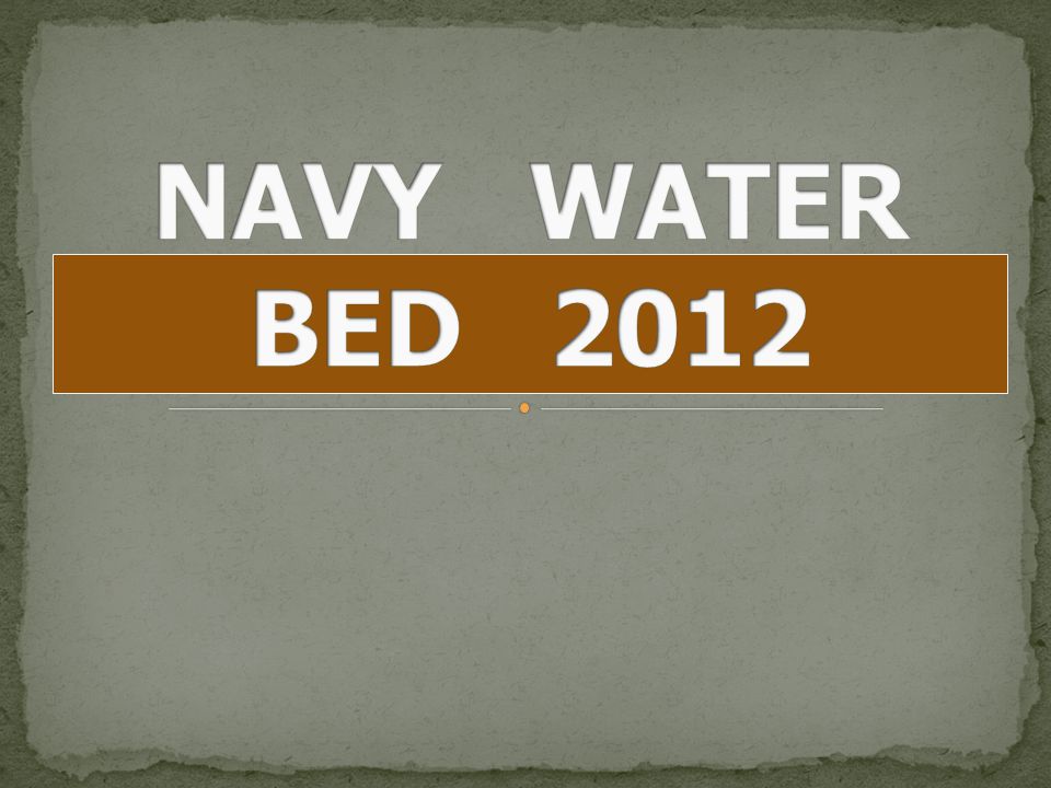 NAVY WATER BED 2012