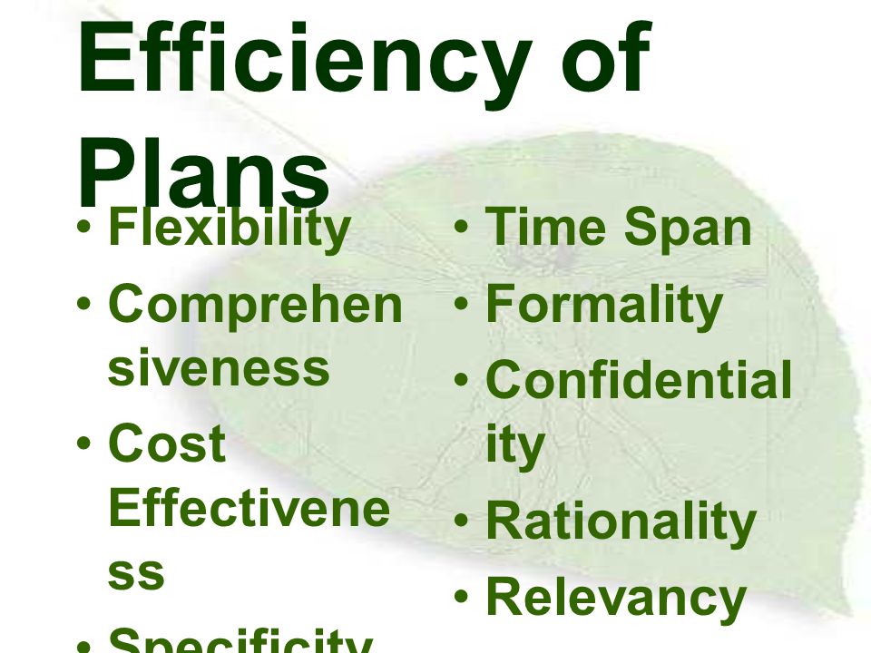 Efficiency of Plans Flexibility Comprehensiveness Cost Effectiveness