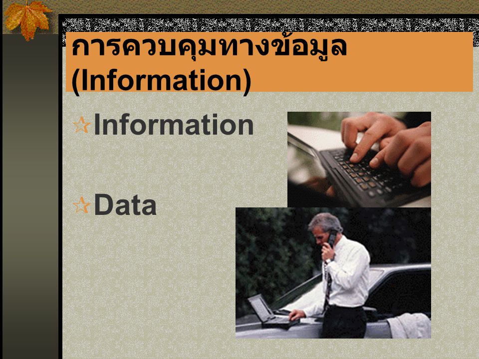 การควบคุมทางข้อมูล (Information)