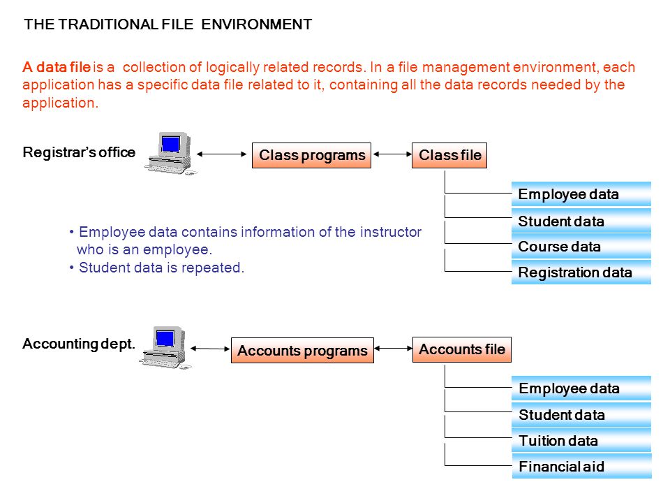 THE TRADITIONAL FILE ENVIRONMENT