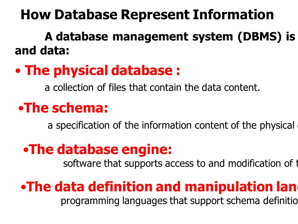 How Database Represent Information