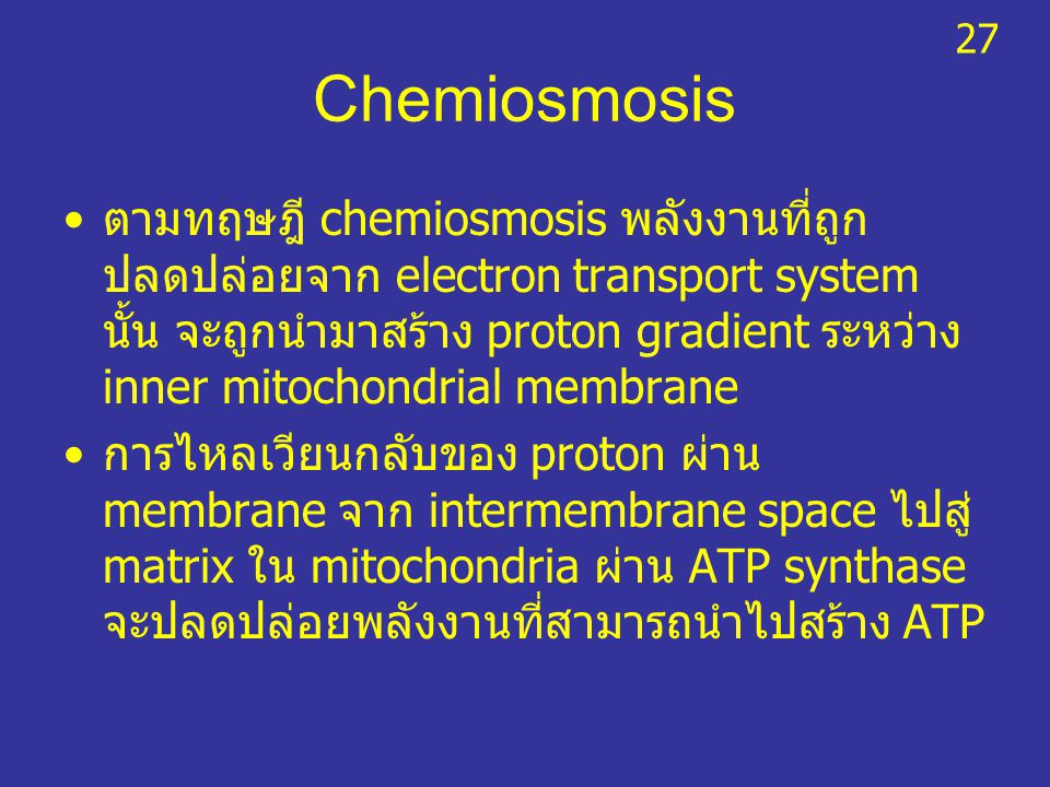 27 Chemiosmosis.