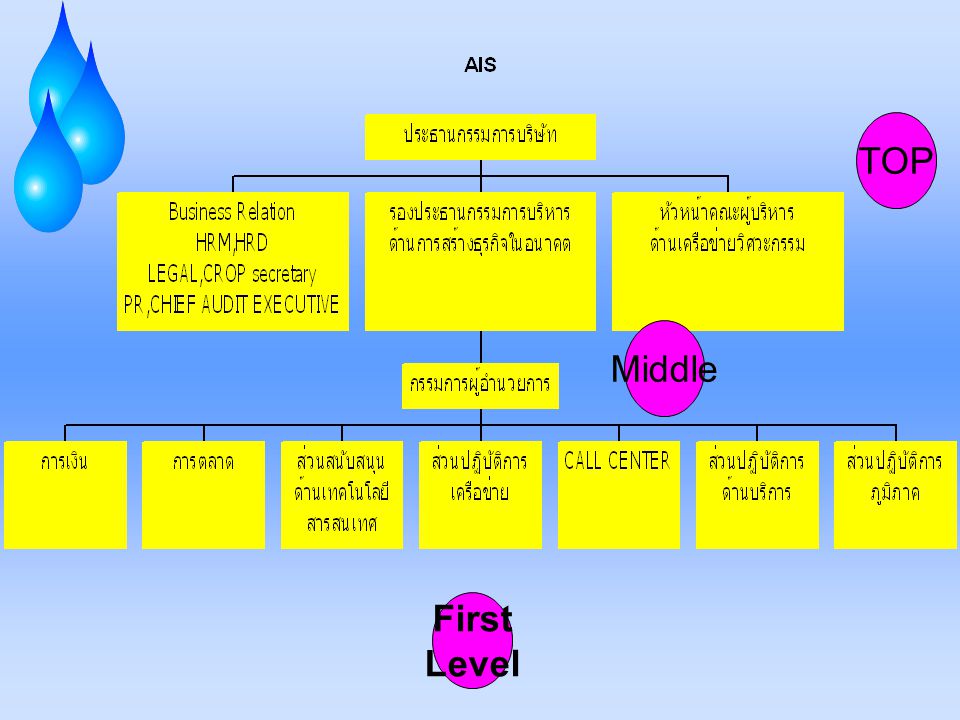 TOP Middle First Level