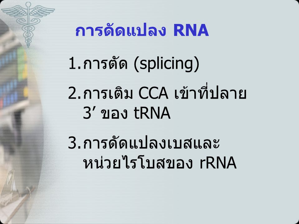 การดัดแปลง RNA การตัด (splicing) การเติม CCA เข้าที่ปลาย 3’ ของ tRNA.