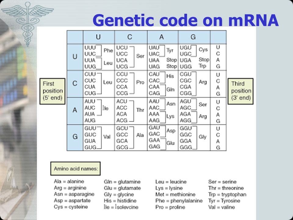 Genetic code on mRNA