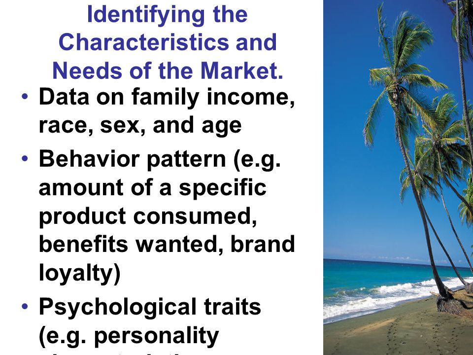 Identifying the Characteristics and Needs of the Market.