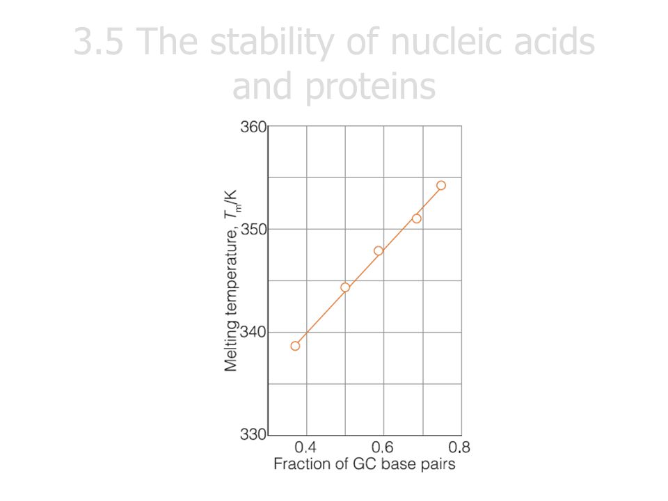 3.5 The stability of nucleic acids and proteins